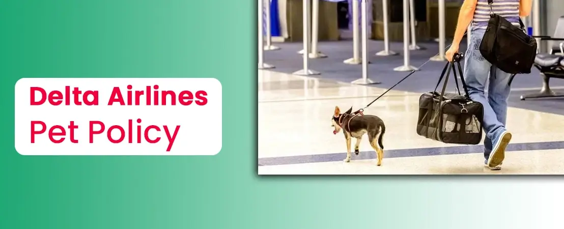 Delta Airlines Pet Policy- Fly With Your Beloved Pets on Delta!