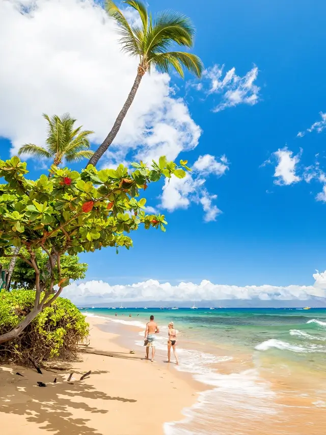 Best beaches in Maui